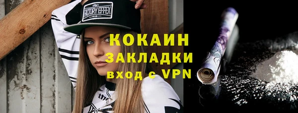 дживик Алзамай
