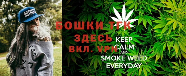 PSILOCYBIN Алексеевка