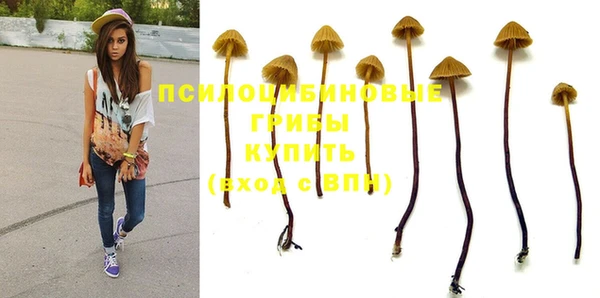 PSILOCYBIN Алексеевка