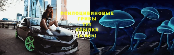 дживик Алзамай