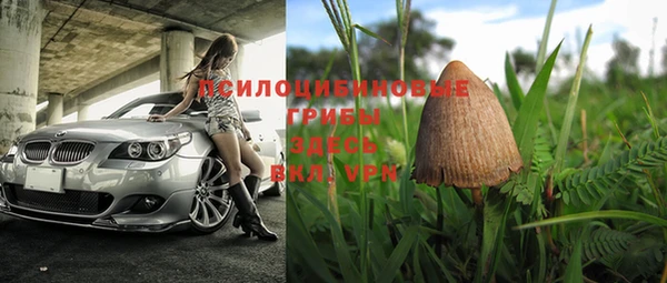 PSILOCYBIN Алексеевка