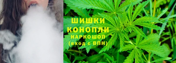 PSILOCYBIN Алексеевка